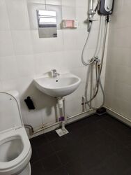 Blk 450 Tampines Street 42 (Tampines), HDB 3 Rooms #559226301
